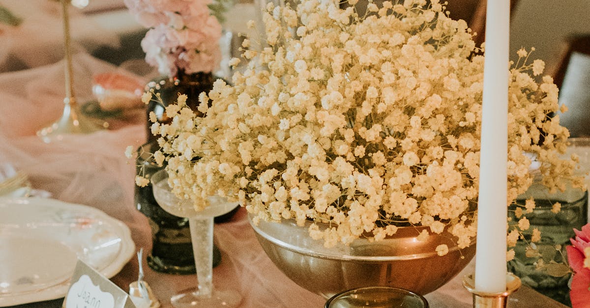 Accessibility Considerations for Outdoor Versus Indoor Events